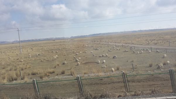 买手日记,买手日记主要做什么工作