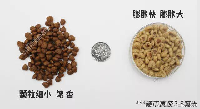 河北宠粮怎么样,河北宠粮