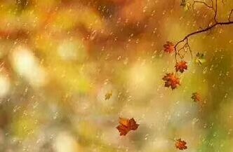 古诗词心有千千结,诗句心有千千结