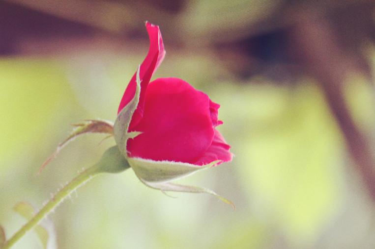 遇到吹毛求疵的老板怎么办,遇到一个吹毛求疵的上司该如何