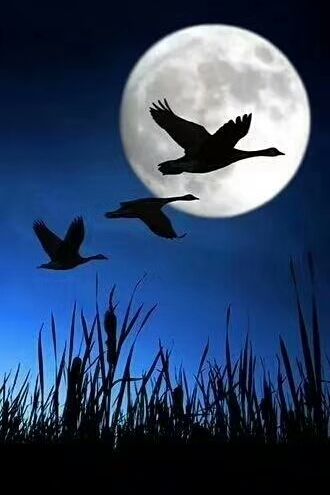 古诗词心有千千结,诗句心有千千结