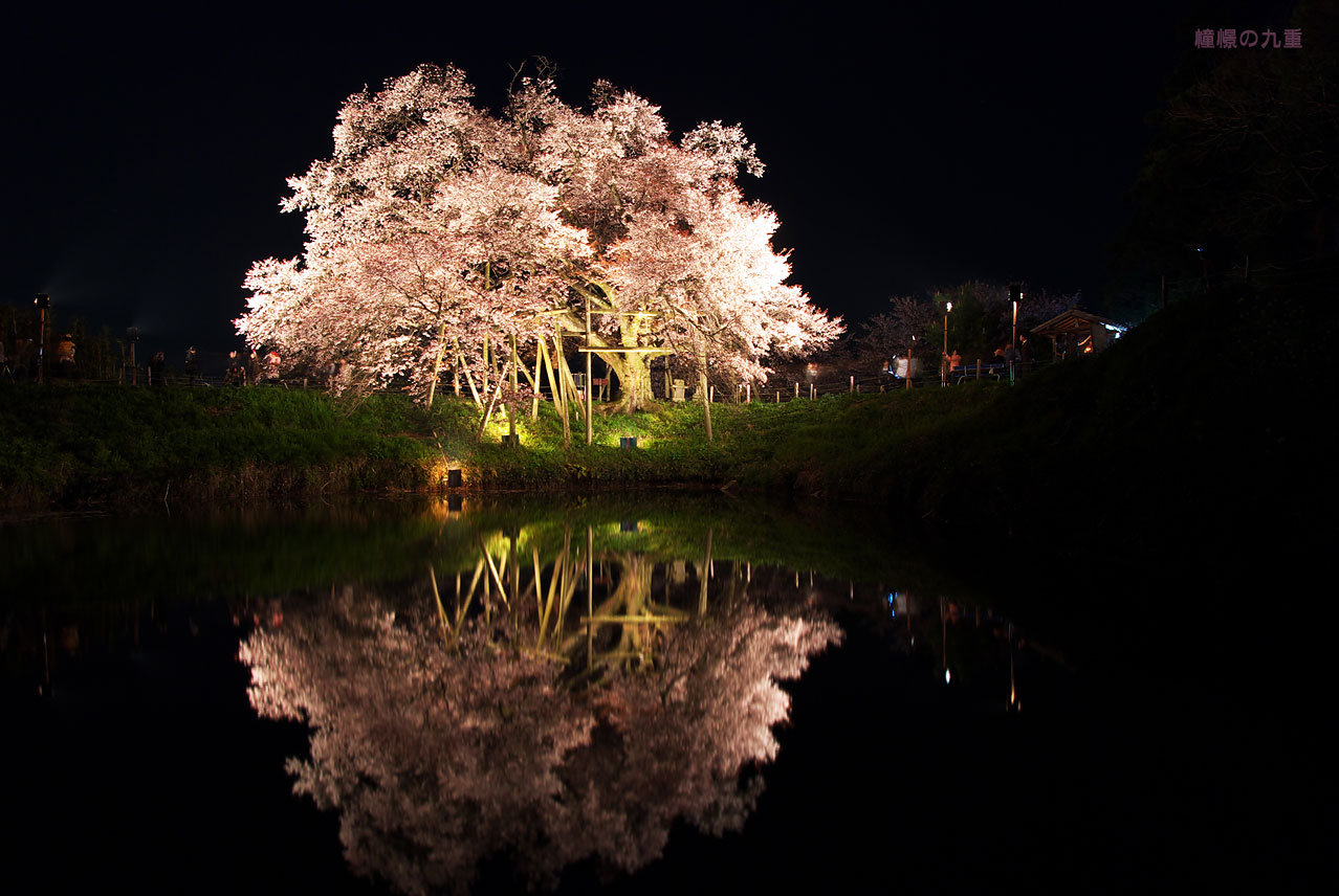 日本九州福冈美食一条街,福冈必去景点推荐