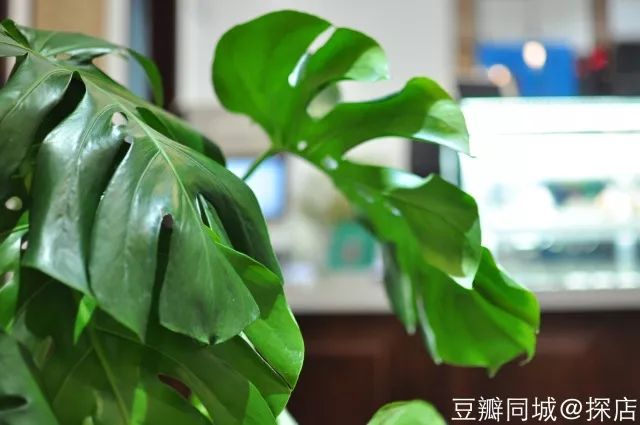 广州本周末活动,深圳近期周末活动