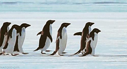 美国代购流程及费用,在美国代购是怎么赚钱的