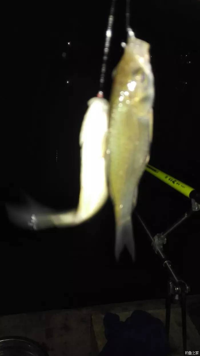 久违的晴天歌词,久违的晴天