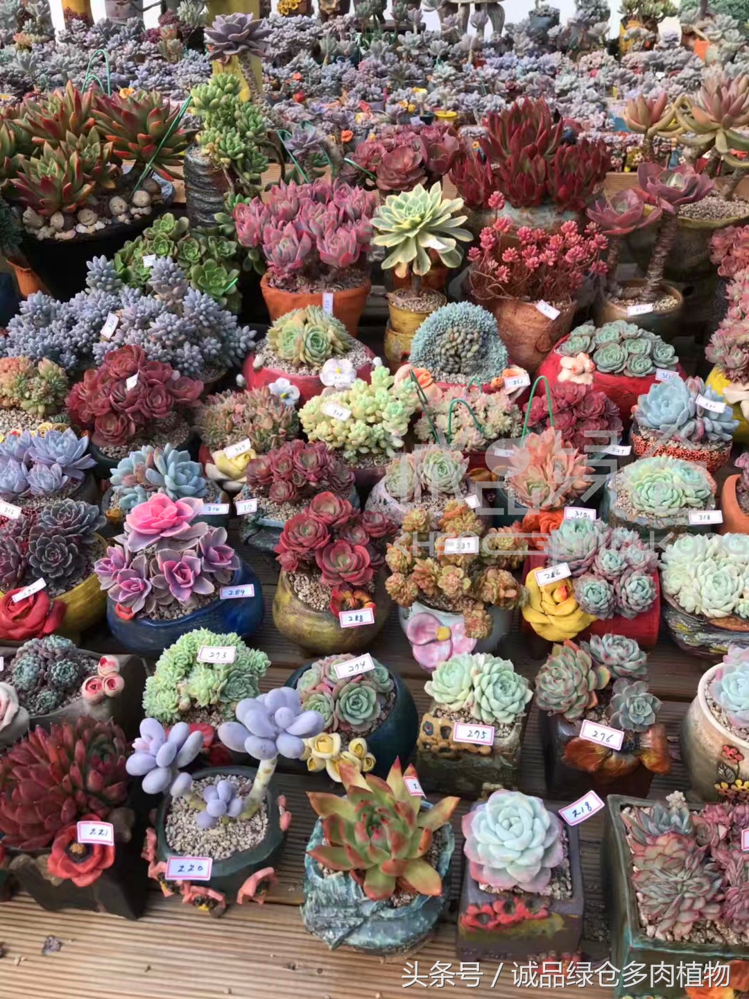 满足你对的所有幻想,满足你对生活所有的想象