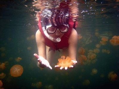 帕劳旅游景点推荐图片大全,帕劳旅游景点推荐