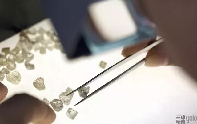 奥本海默背后的含义,奥本海默家族历史