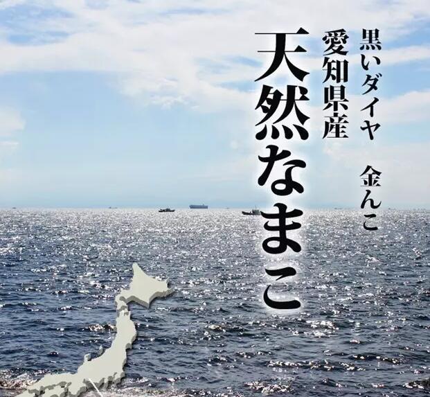 带您了解世界海参,你知道全球有多少种鲨鱼吗