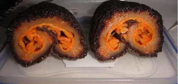 海参也有很多种,全世界所有可以吃的海参