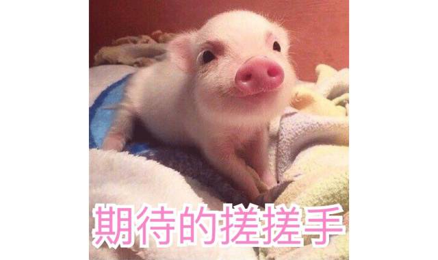 隔离推荐妆前,可以当底妆用的隔离推荐