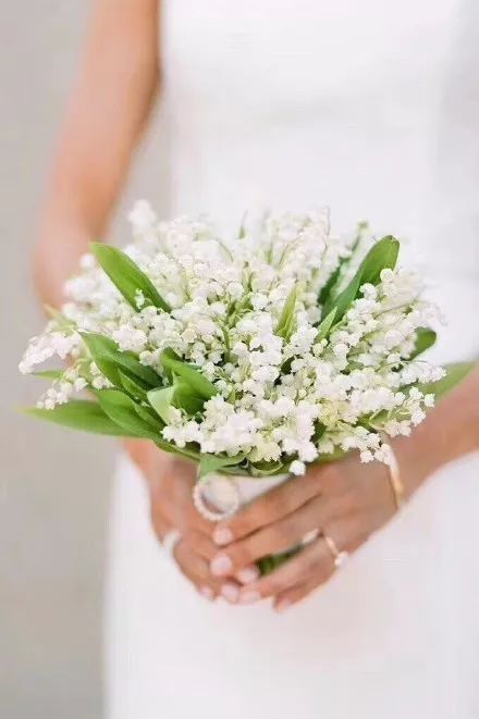 宋慧乔婚礼手捧花铃兰花价格惊人,宋慧乔婚礼手捧花是什么花