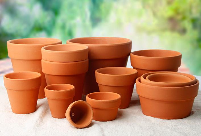 在网上买盆栽买什么好,盆栽是进货好还是自己种