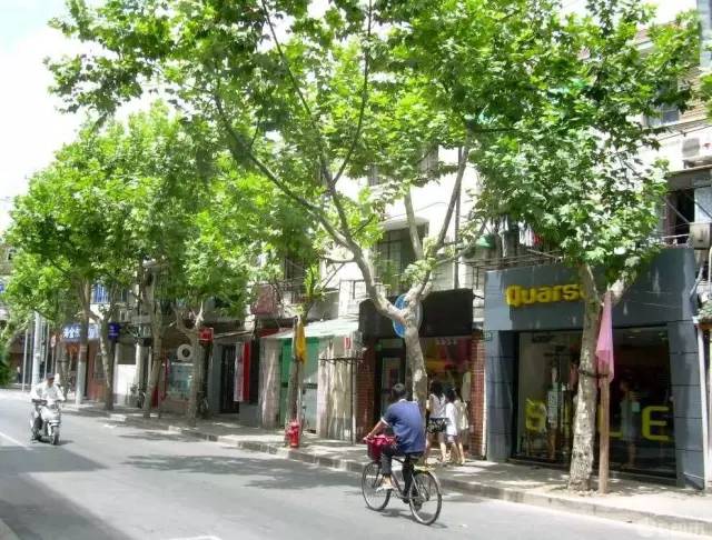 魔都最值得逛的76条马路,你都逛过了吗?