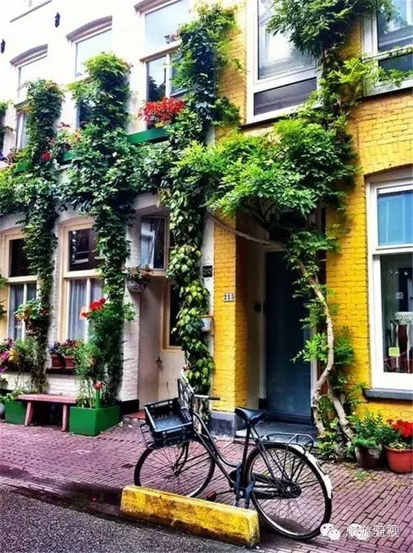 已经开放旅游签证申请的国家,现在开放旅游签证的国家