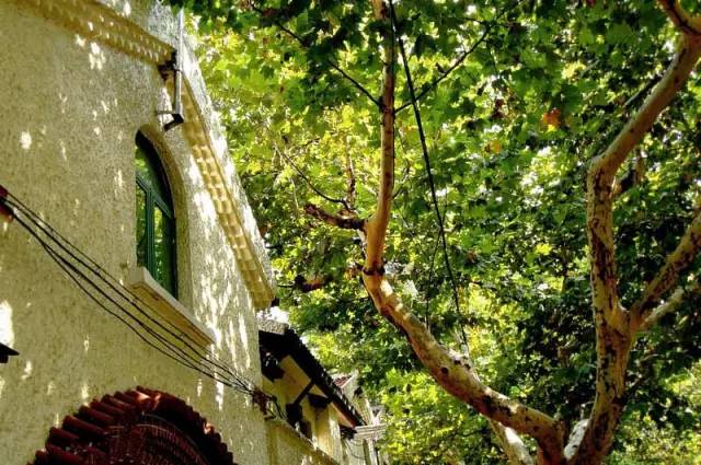 魔都最值得逛的76条马路,你都逛过了吗?