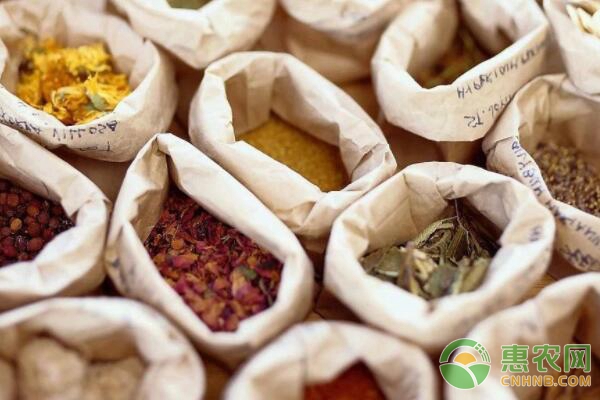 种植中药材什么最赚钱,种植什么中药材最赚钱