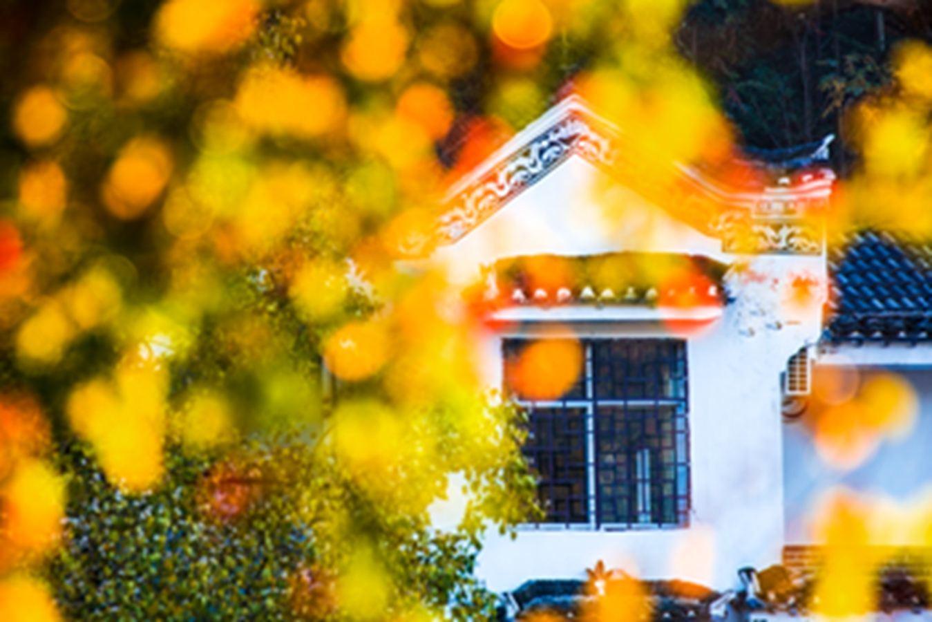 黄冈,这里不只有学霸和试卷