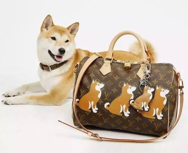 撒币过后芝士超人变现，红旗换标2018.01.08-14这周发生了什么？