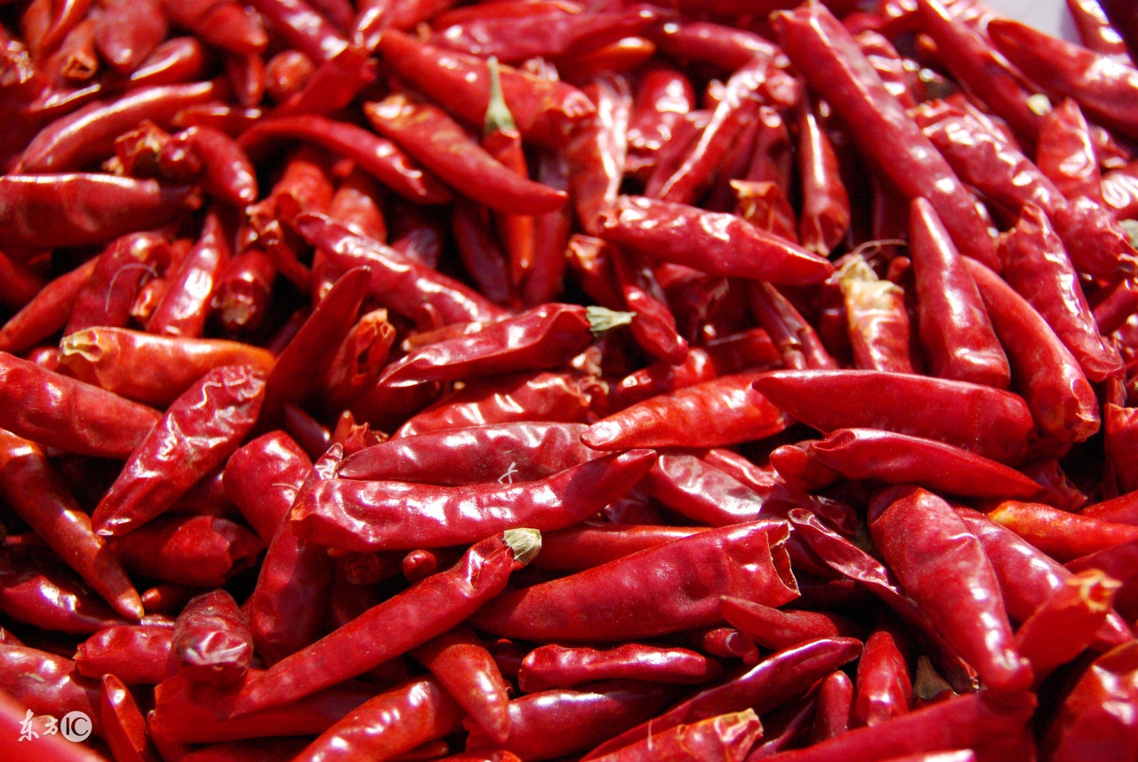 雷州市辣椒价格最新行情,樟树港辣椒价格最新行情