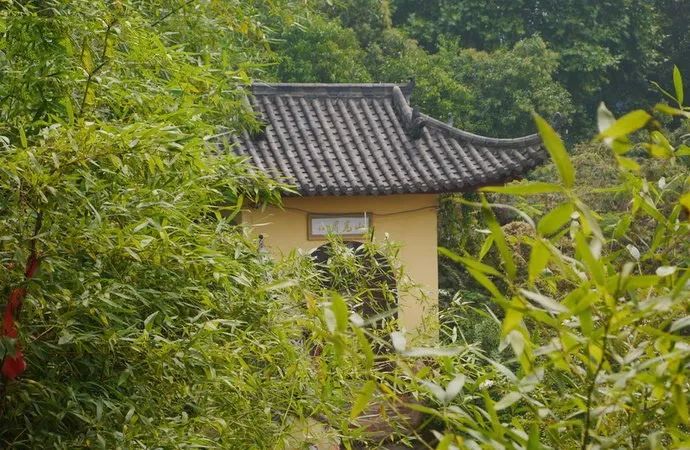 黄冈,这里不只有学霸和试卷