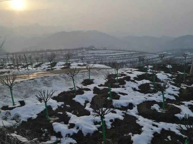 永康书记冬日再访贫困户，这里的变化暖进人心坎儿