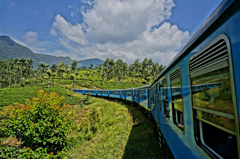 明天起，郑州这些东西统统免费！不知道你就亏大了！