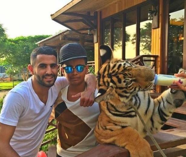 迪拜成龙专属超跑,迪拜成龙