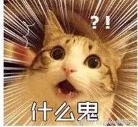 春运送福温暖旅途,春运火车暖心