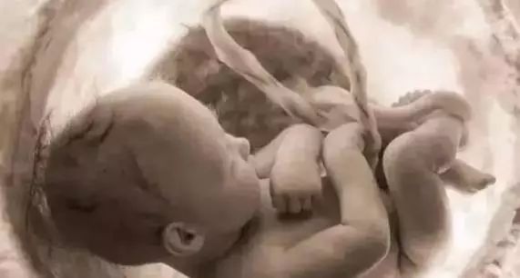 月安馨小课堂“羊水”为什么叫羊水呢？