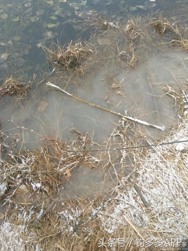 钓鱼新手如何做到钓鱼大师,一个合格钓鱼人应该具备的知识