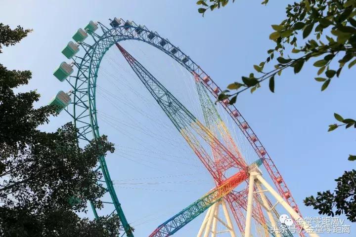 厉害了！金堂县又要火了，她即将代表中国走向世界！