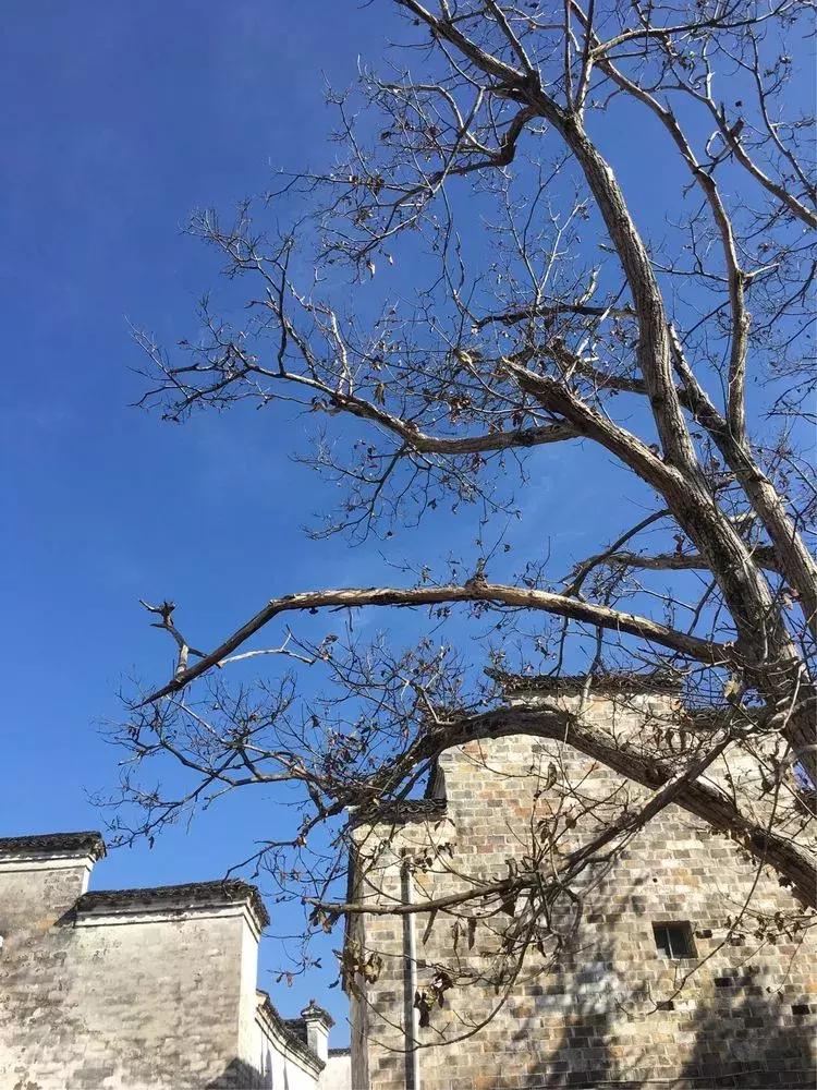 冬的深处，带你领略查济的一方天~