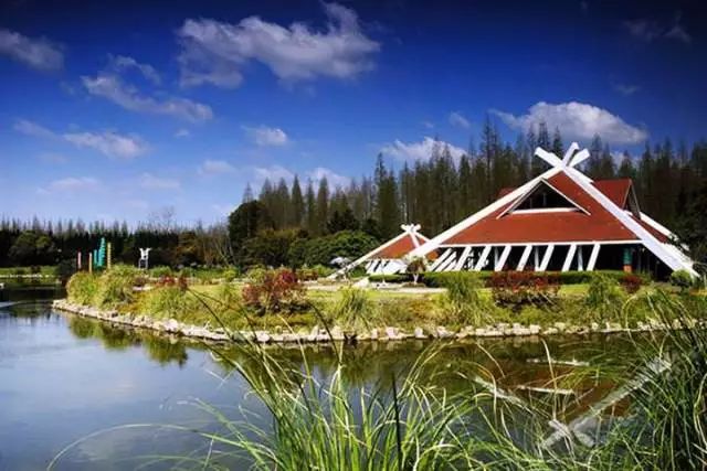 上海最省钱旅游攻略,旅游省钱从上海出发