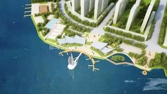 蚌埠体育局张亚,新思想引领新征程新担当