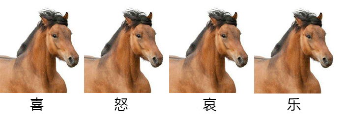 马的嗅觉听觉视觉,马的嗅觉怎么样