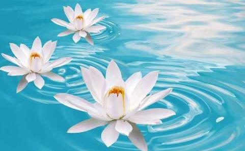 圣云法师手把手教你如何忏悔,明海法师讲解忏悔