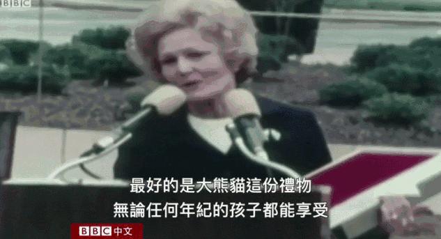 我国国宝大熊猫被外国租借有多难,日本大熊猫悲惨生活