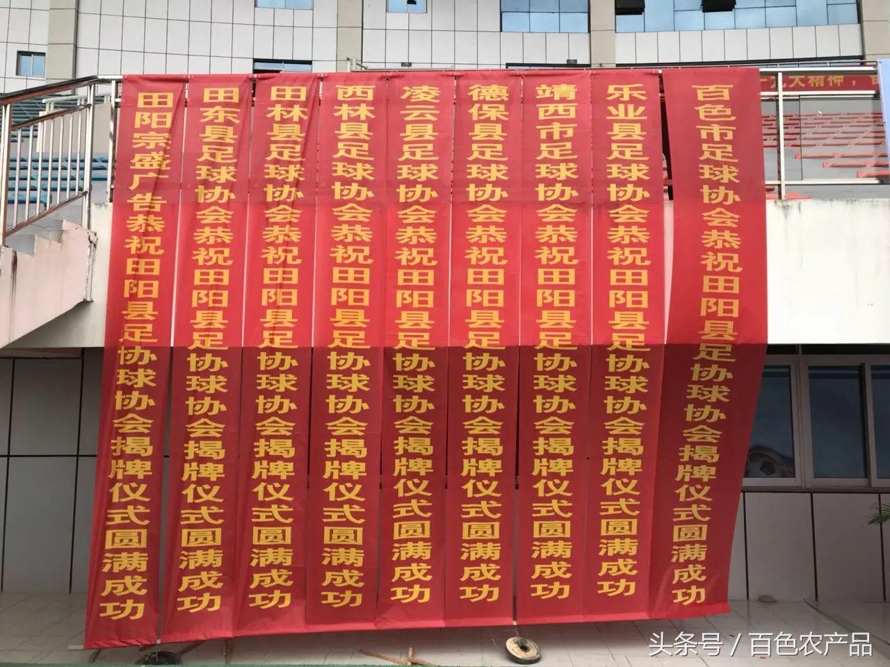 田阳足球队,田阳足球