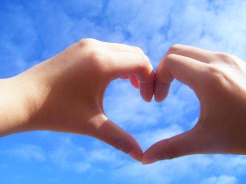 对不起,我要退出中国二手挖掘机联盟了