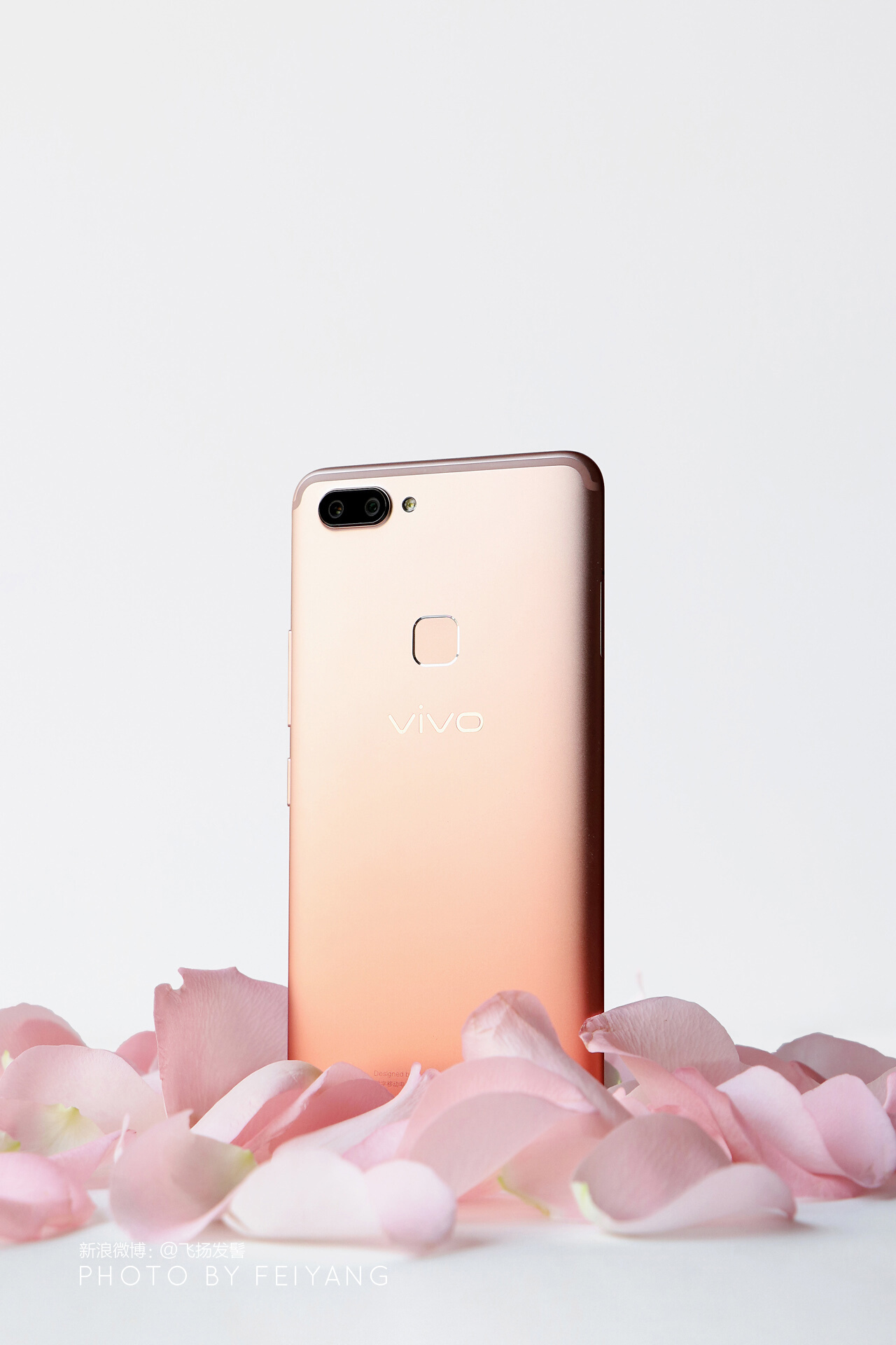 施华洛世奇项链198元,施华洛世奇99元领券蝴蝶结项链