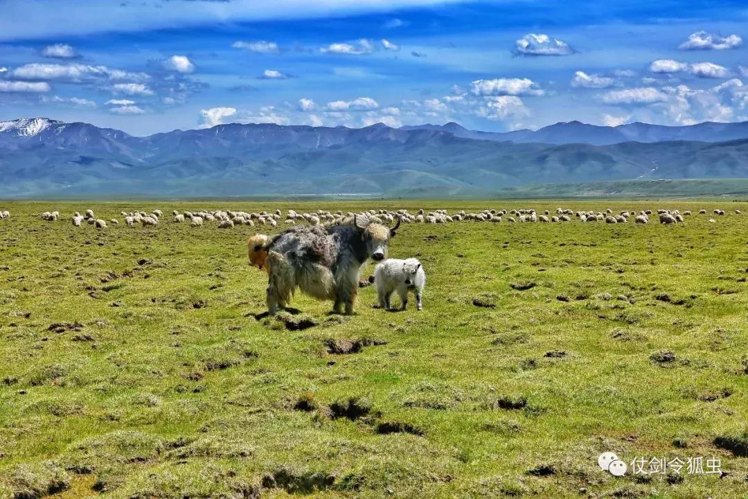 手机上有什么软件能p好图,手机制作奖状p图软件