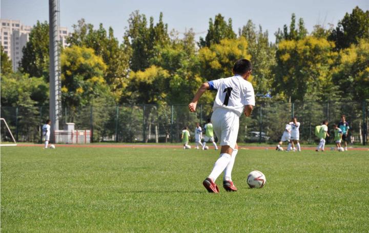 青少年足球技巧,青少年足球教练看的书