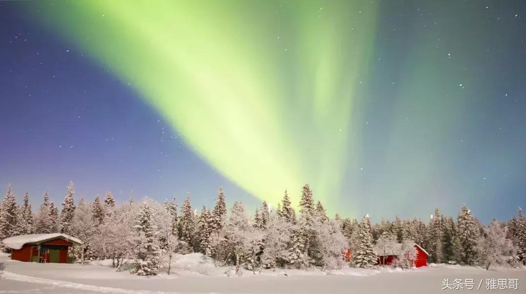 失恋、雅思、ACCA，我终于活成了自己想要的样子