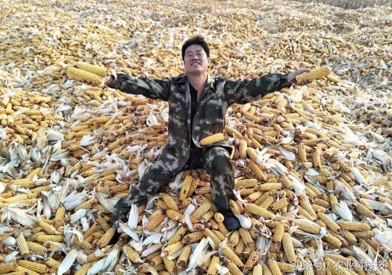 2021全国十佳农民公示名单,2021全国十佳高素质农民