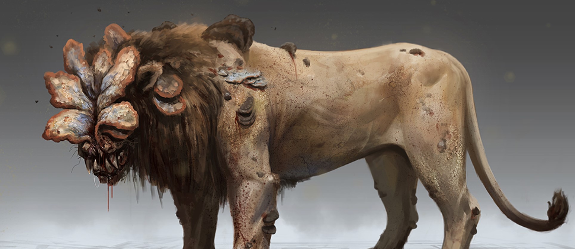 涓轰粈涔堢編鍥芥湯鏃ヨ瘎浠疯繖涔堥珮,缇庡浗鏈棩涓轰粈涔堣瘎浠疯繖涔堥珮