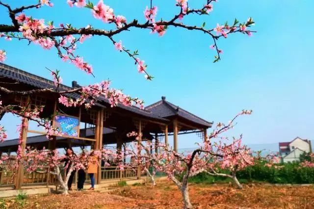 上海小众好玩的地方,上海闵行区小众景点