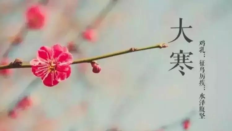 大寒元稹古诗朗诵,大寒古诗朗诵背景模板