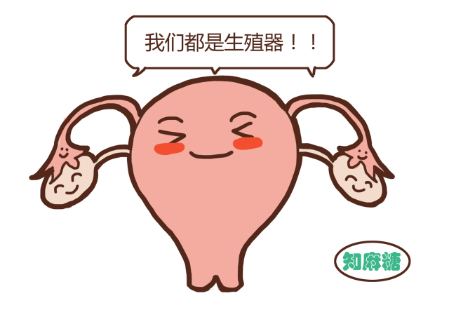 男生不要看女生温馨小贴士,男生勿看女生