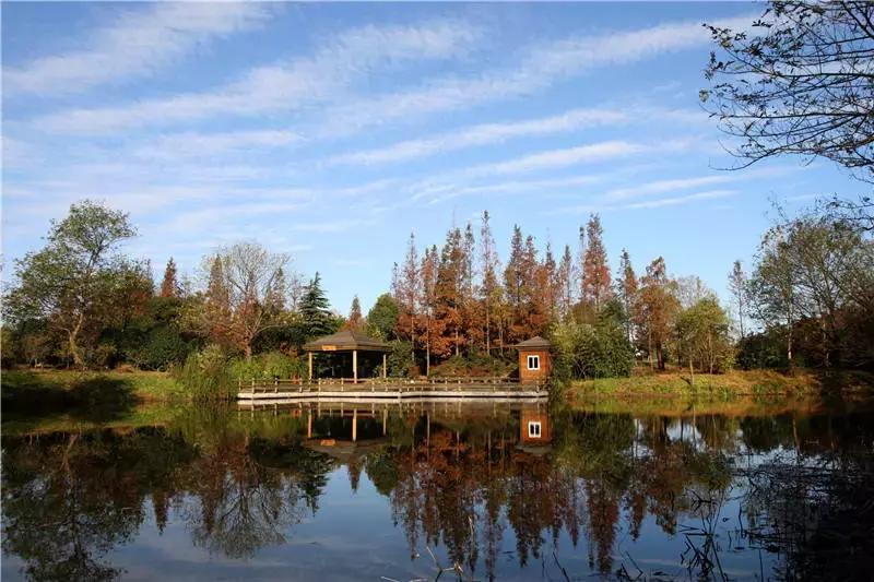 上海100个公园图片,上海有哪些免费的国家级公园